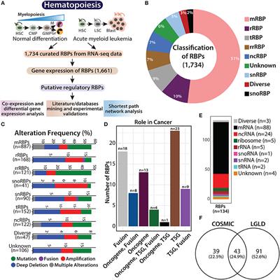 Transcriptomic Analysis Identifies RNA Binding Proteins as Putative Regulators of Myelopoiesis and Leukemia